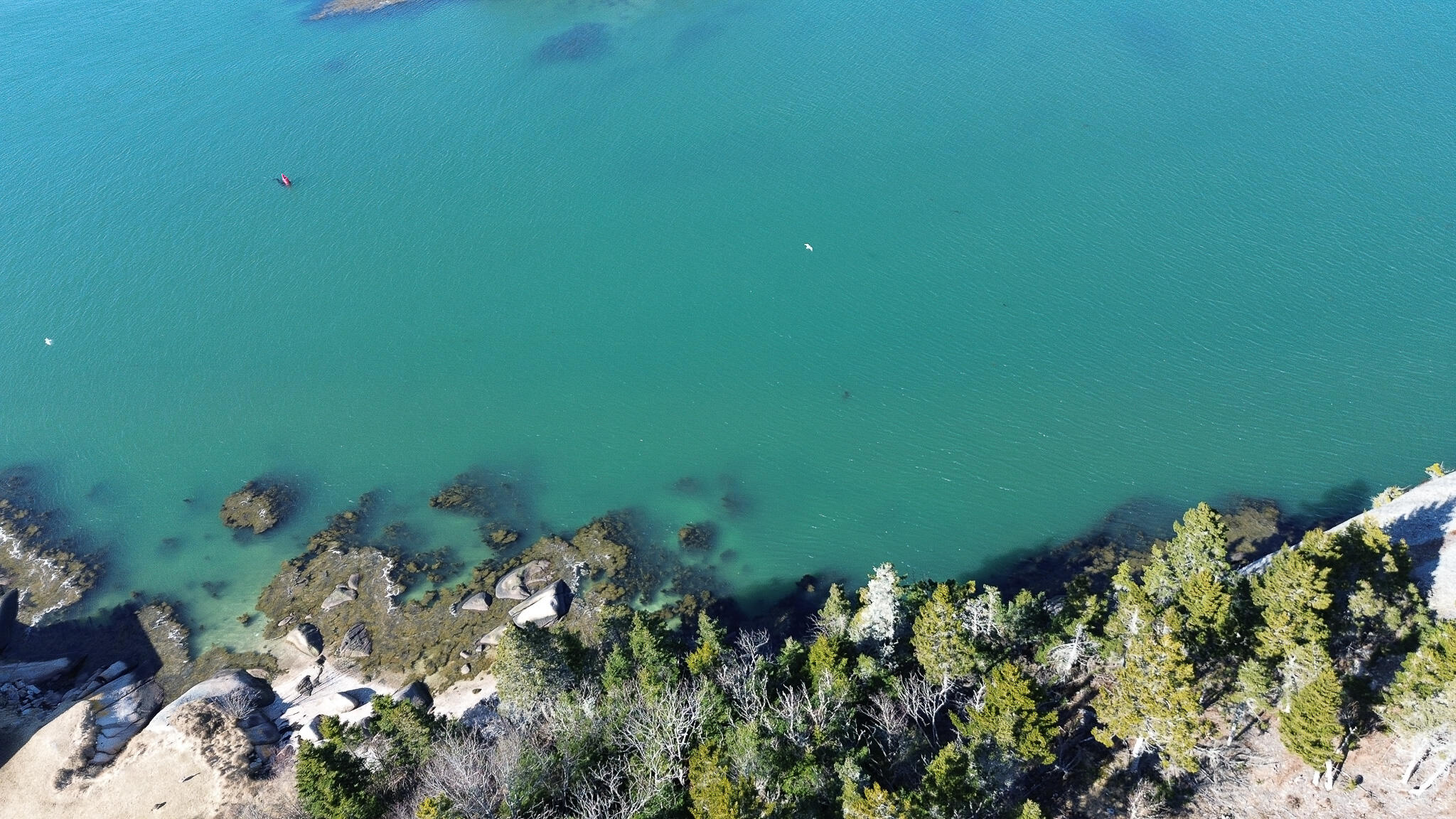 0 Alleys Bay Road Beals ME 04611