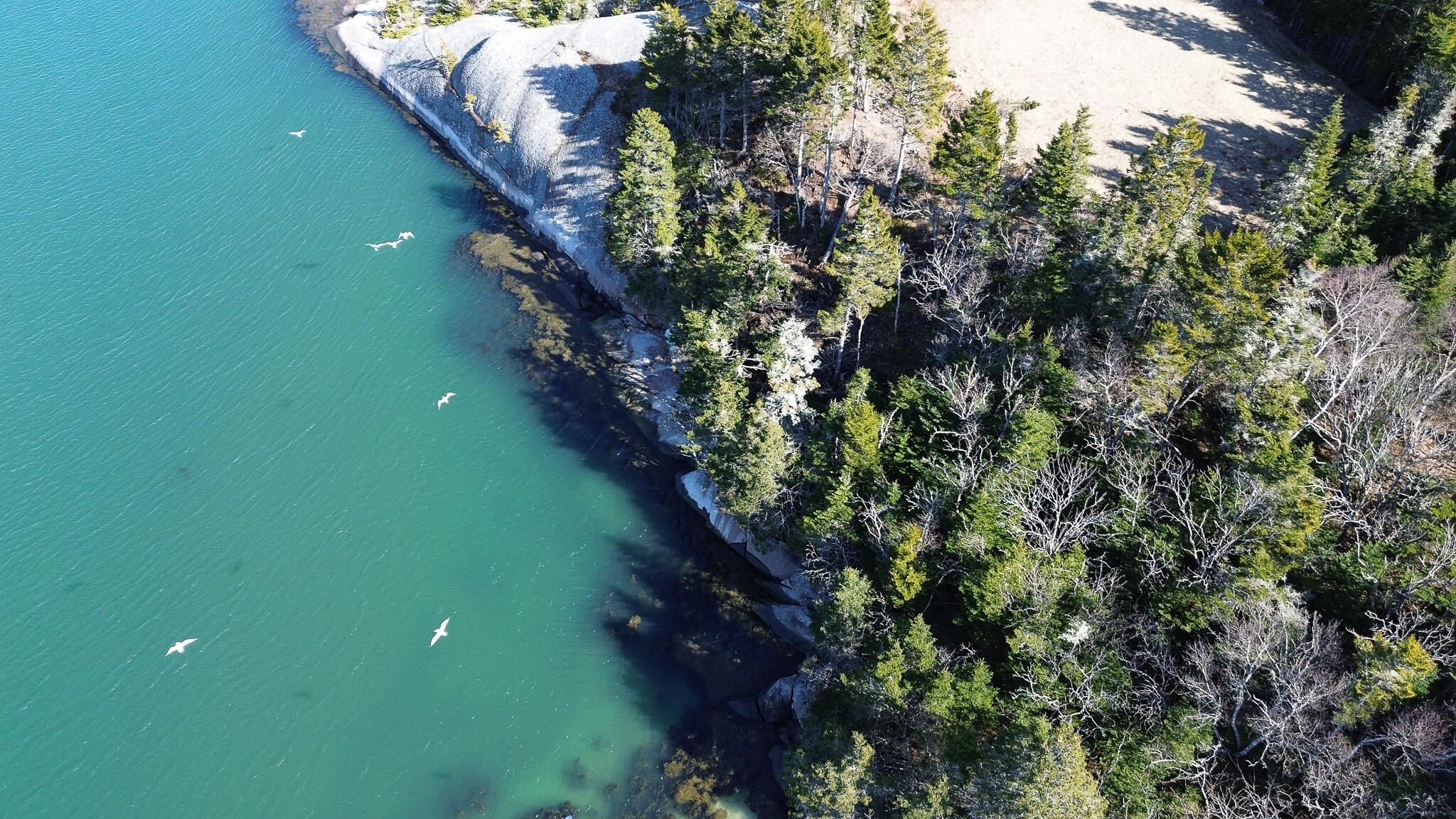 0 Alleys Bay Road Beals ME 04611