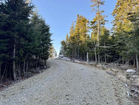 0 Alleys Bay Road Beals ME 04611