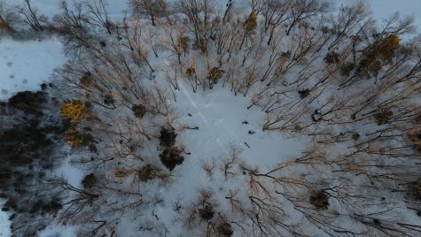 Lot 6 Old River Road Fryeburg ME 04037