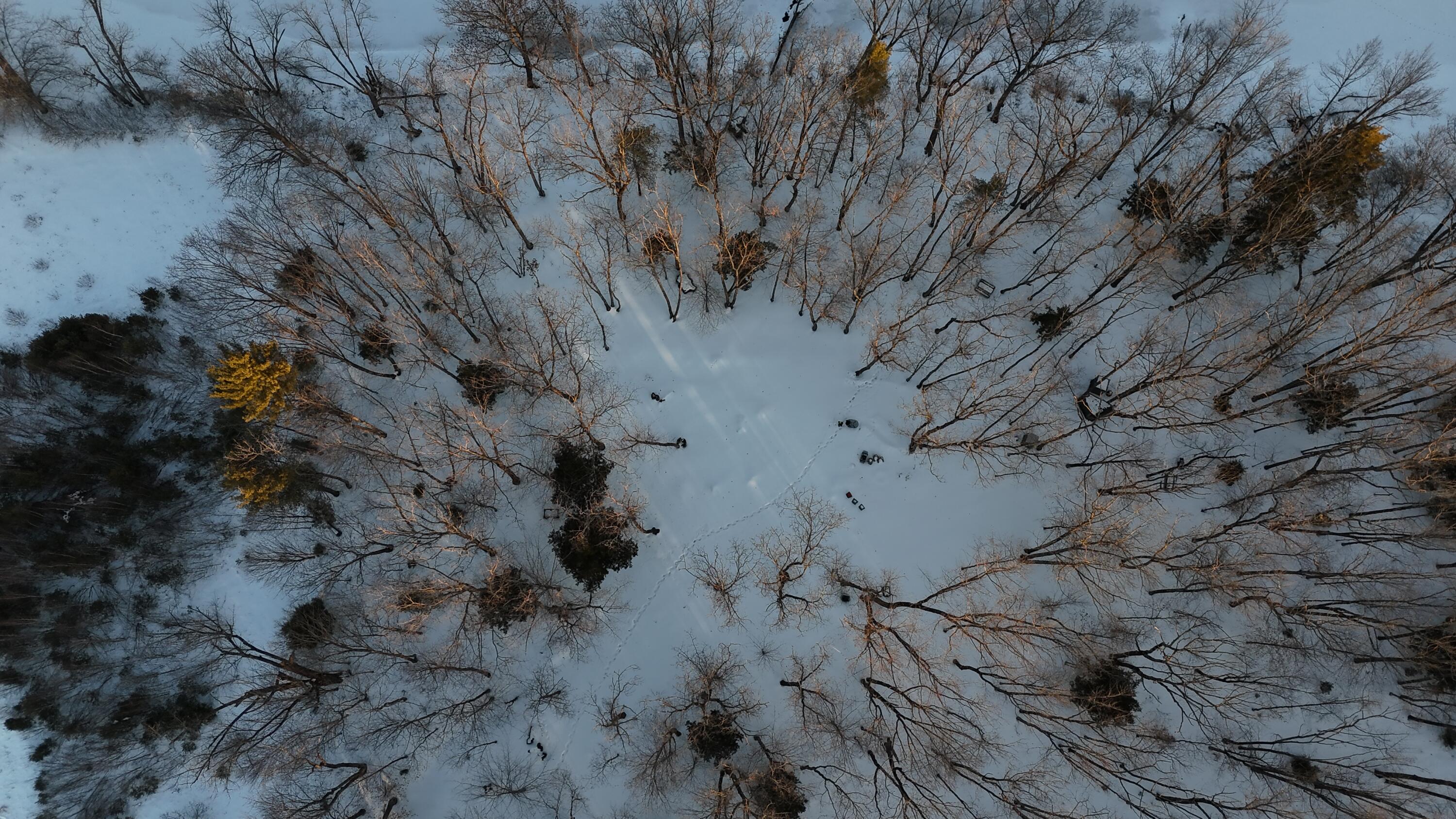 Lot 6 Old River Road Fryeburg ME 04037