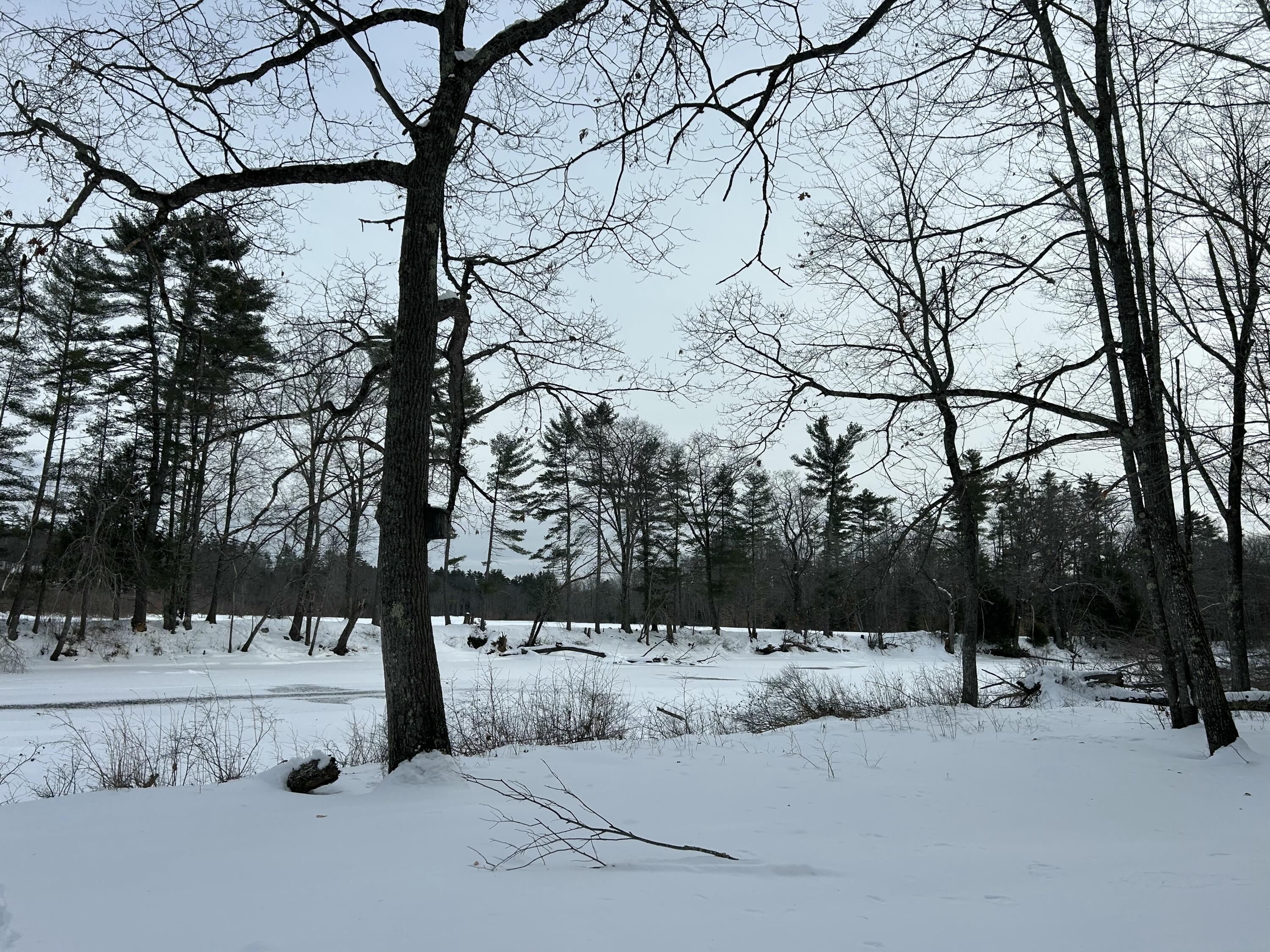 Lot 6 Old River Road Fryeburg ME 04037