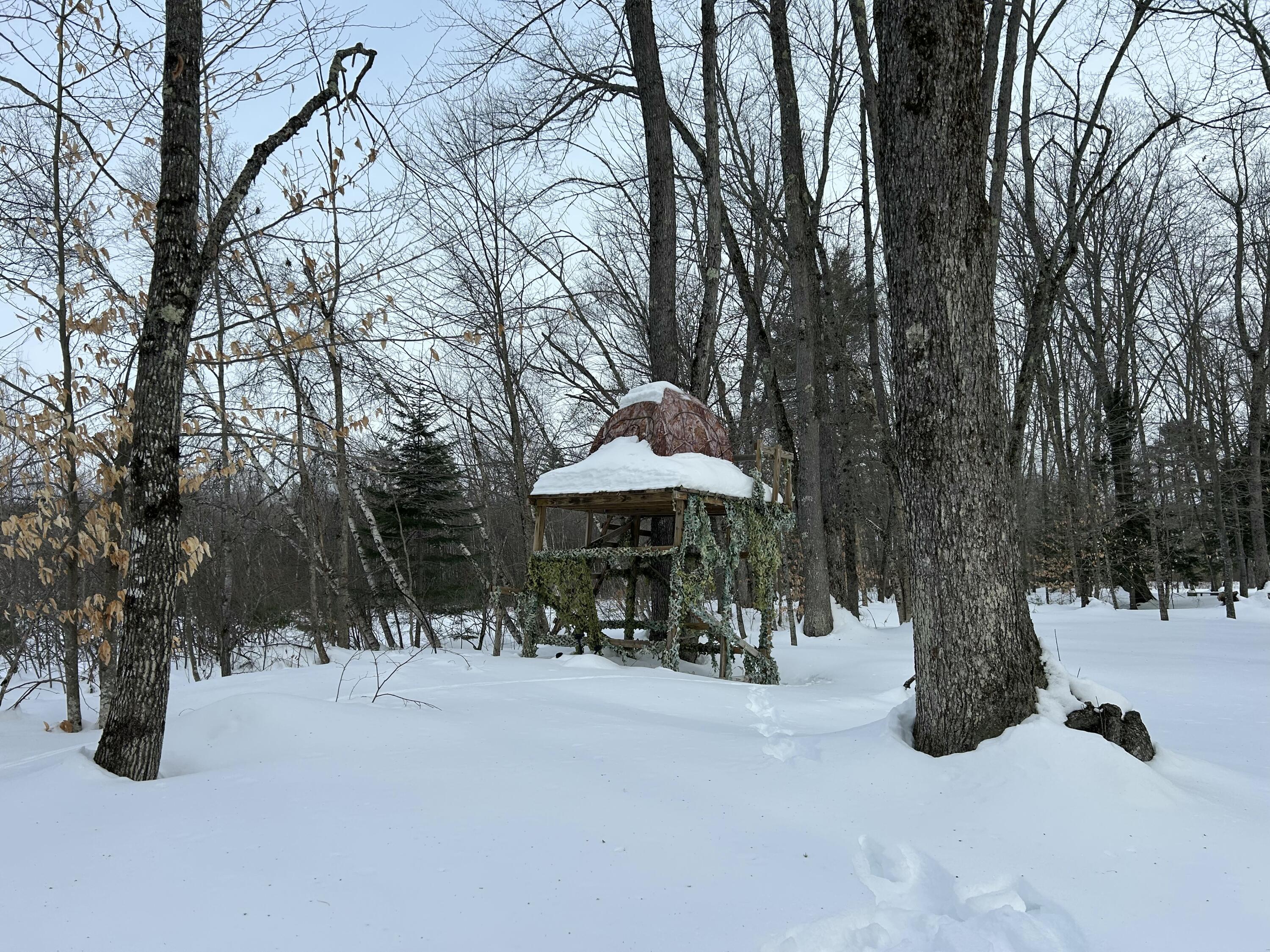 Lot 6 Old River Road Fryeburg ME 04037