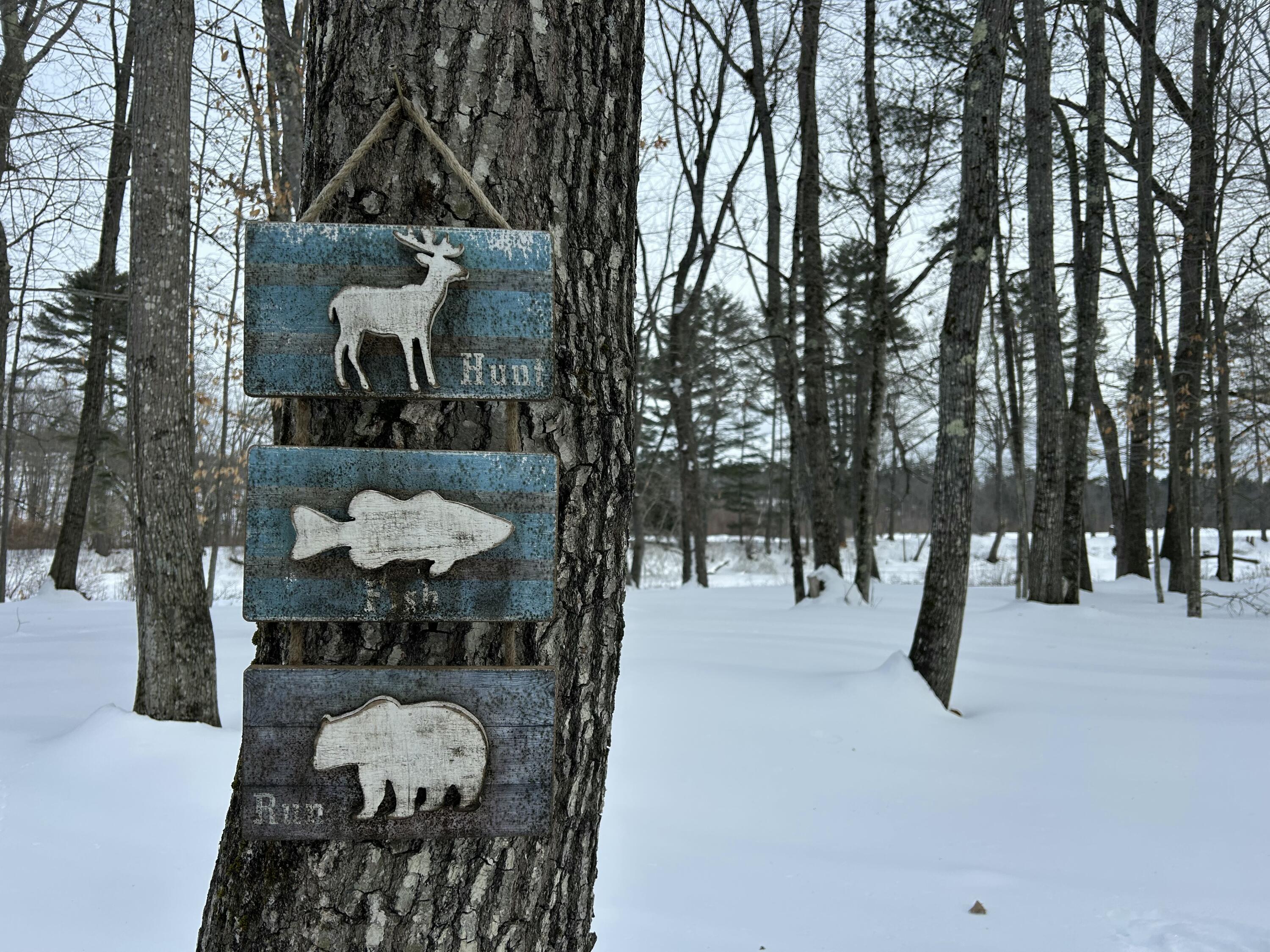 Lot 6 Old River Road Fryeburg ME 04037