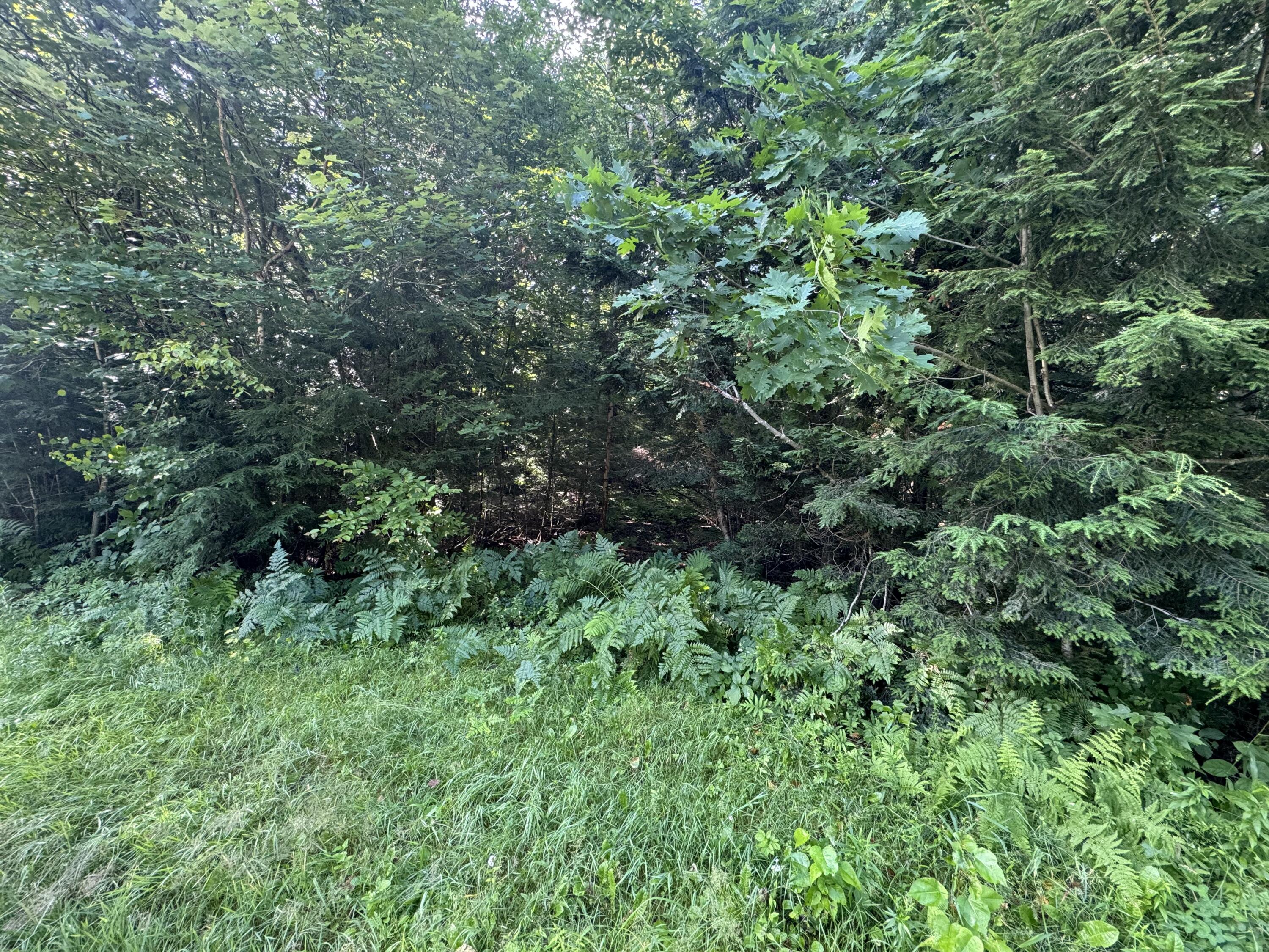 Map 6 Lot 23-9 Pinewood Drive Corinth ME 04427