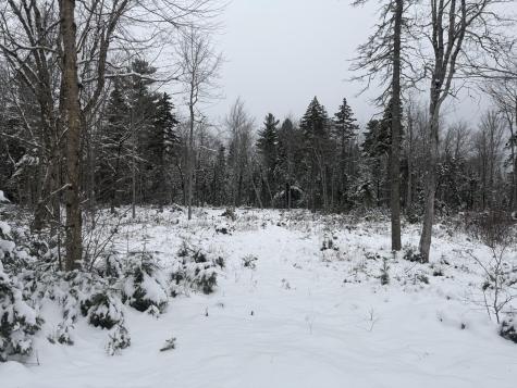 Lot 11 Sunset Hill Road Hancock ME 04640