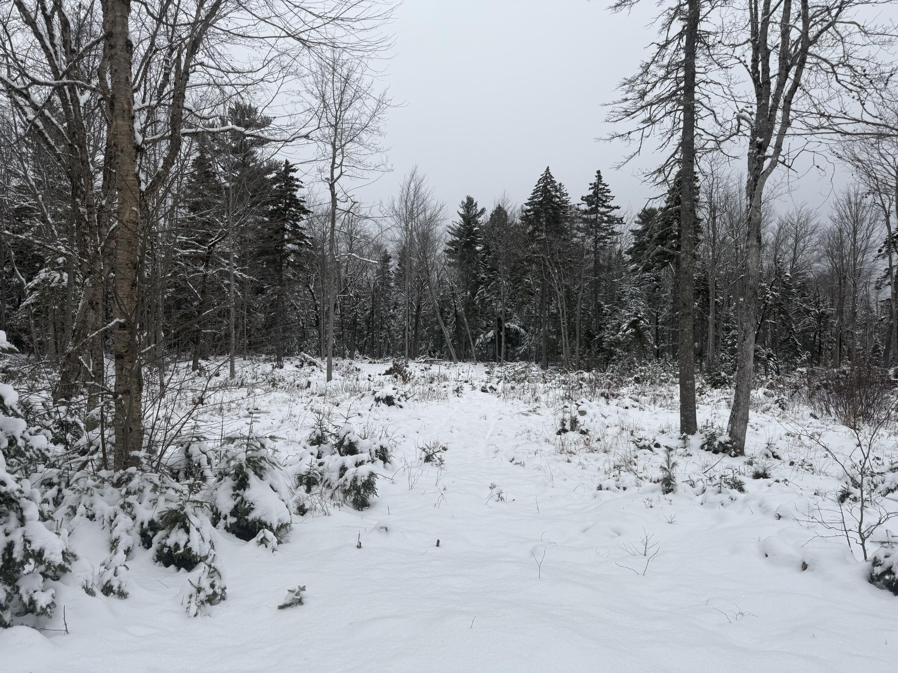 Lot 11 Sunset Hill Road Hancock ME 04640