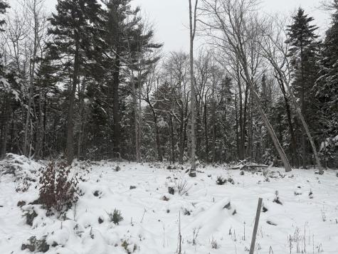 Lot 11 Sunset Hill Road Hancock ME 04640