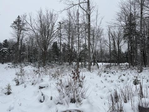 Lot 11 Sunset Hill Road Hancock ME 04640