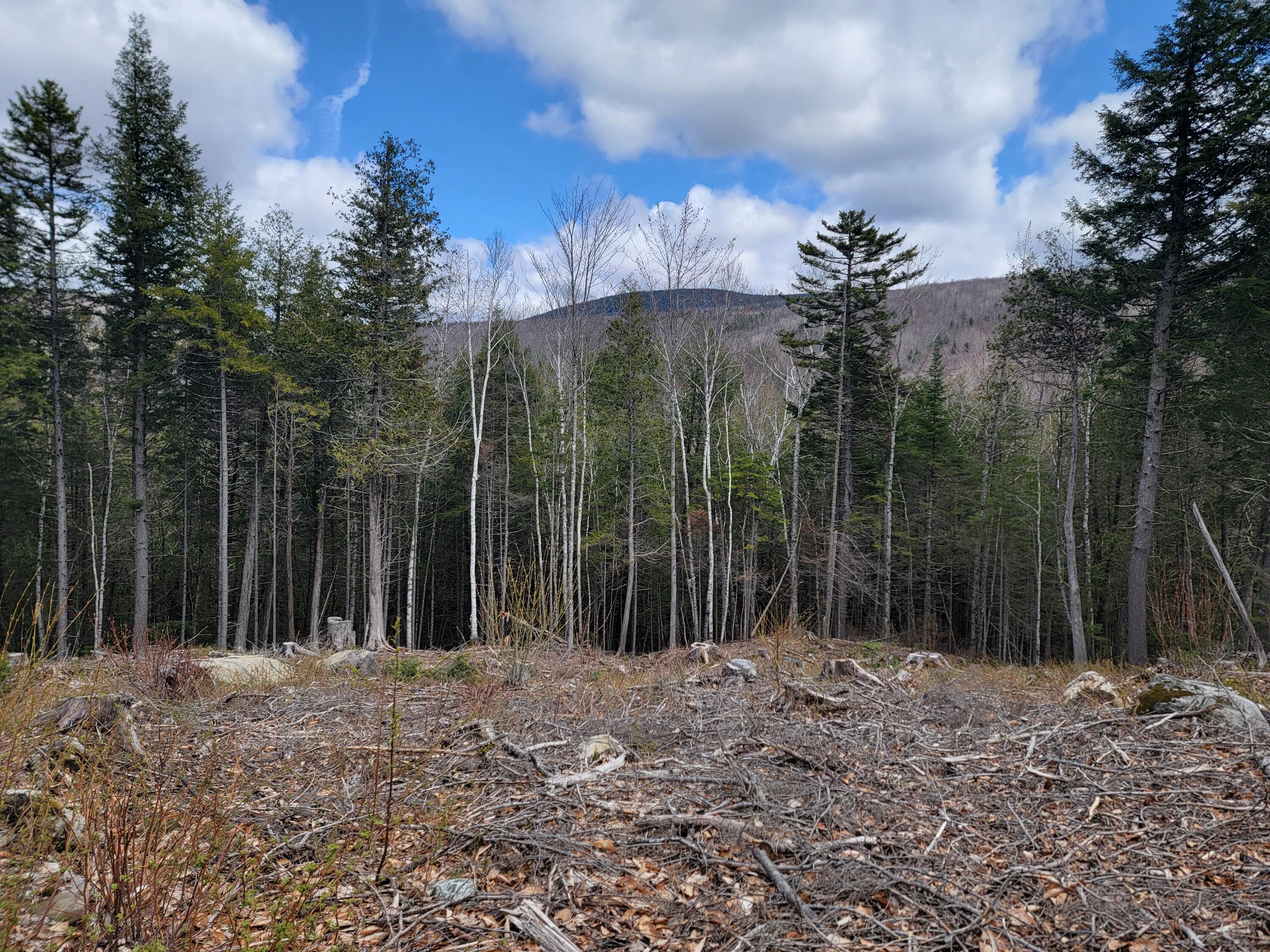 1007 Apres Way Carrabassett Valley ME 04947