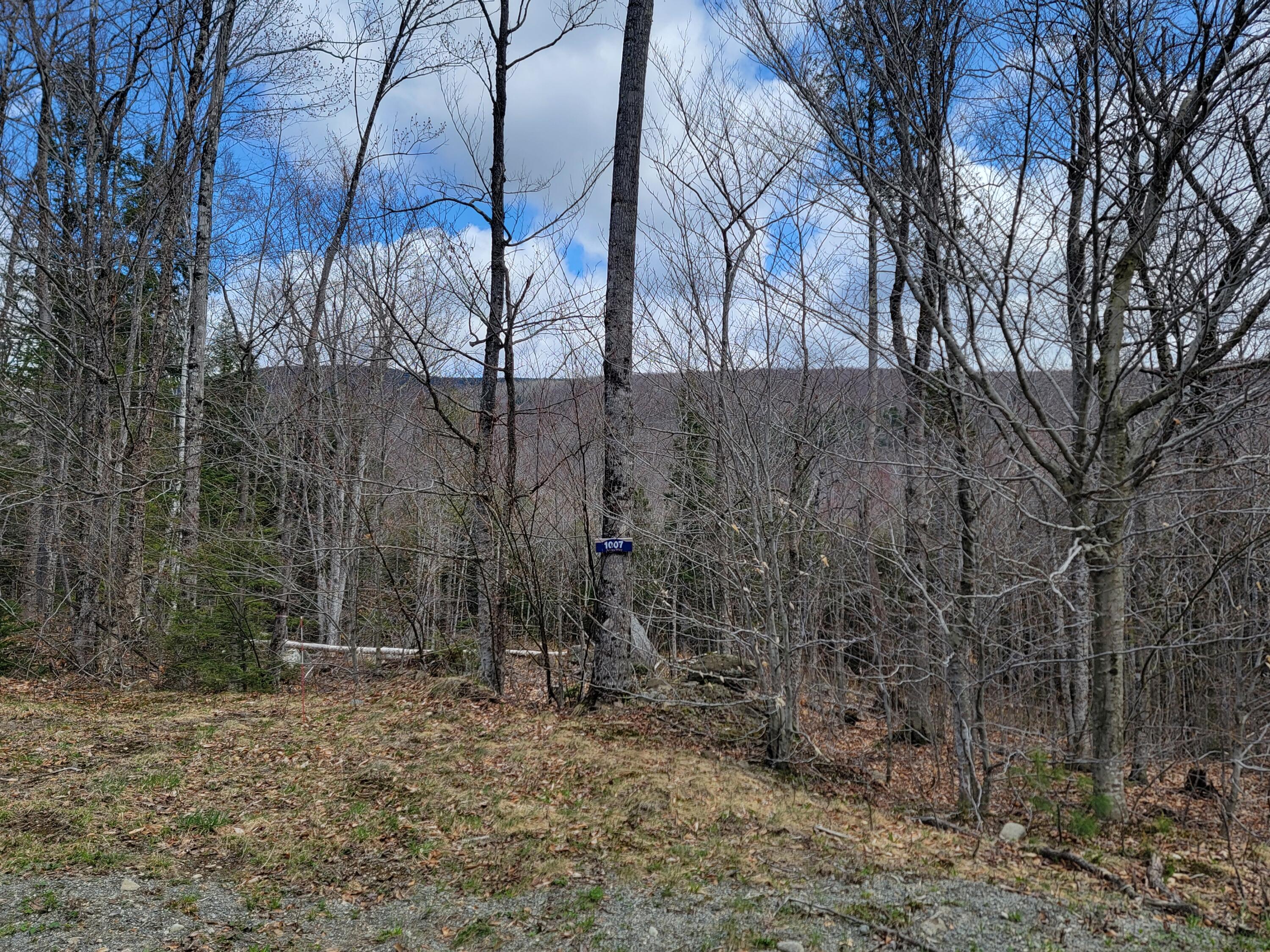 1007 Apres Way Carrabassett Valley ME 04947