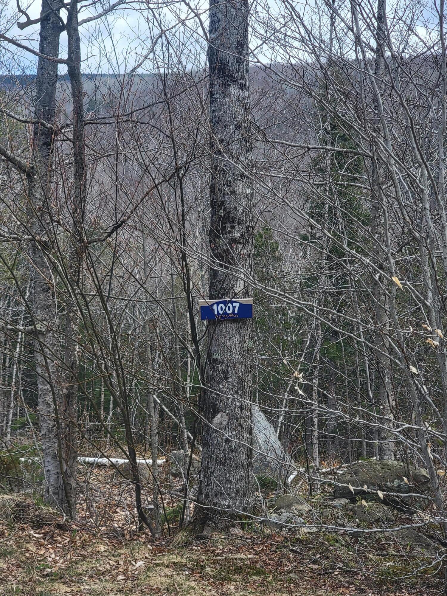 1007 Apres Way Carrabassett Valley ME 04947