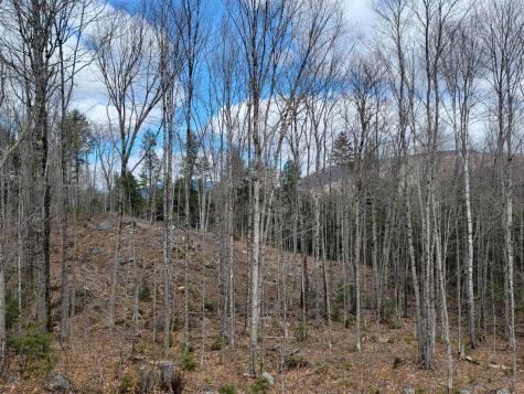 1007 Apres Way Carrabassett Valley ME 04947