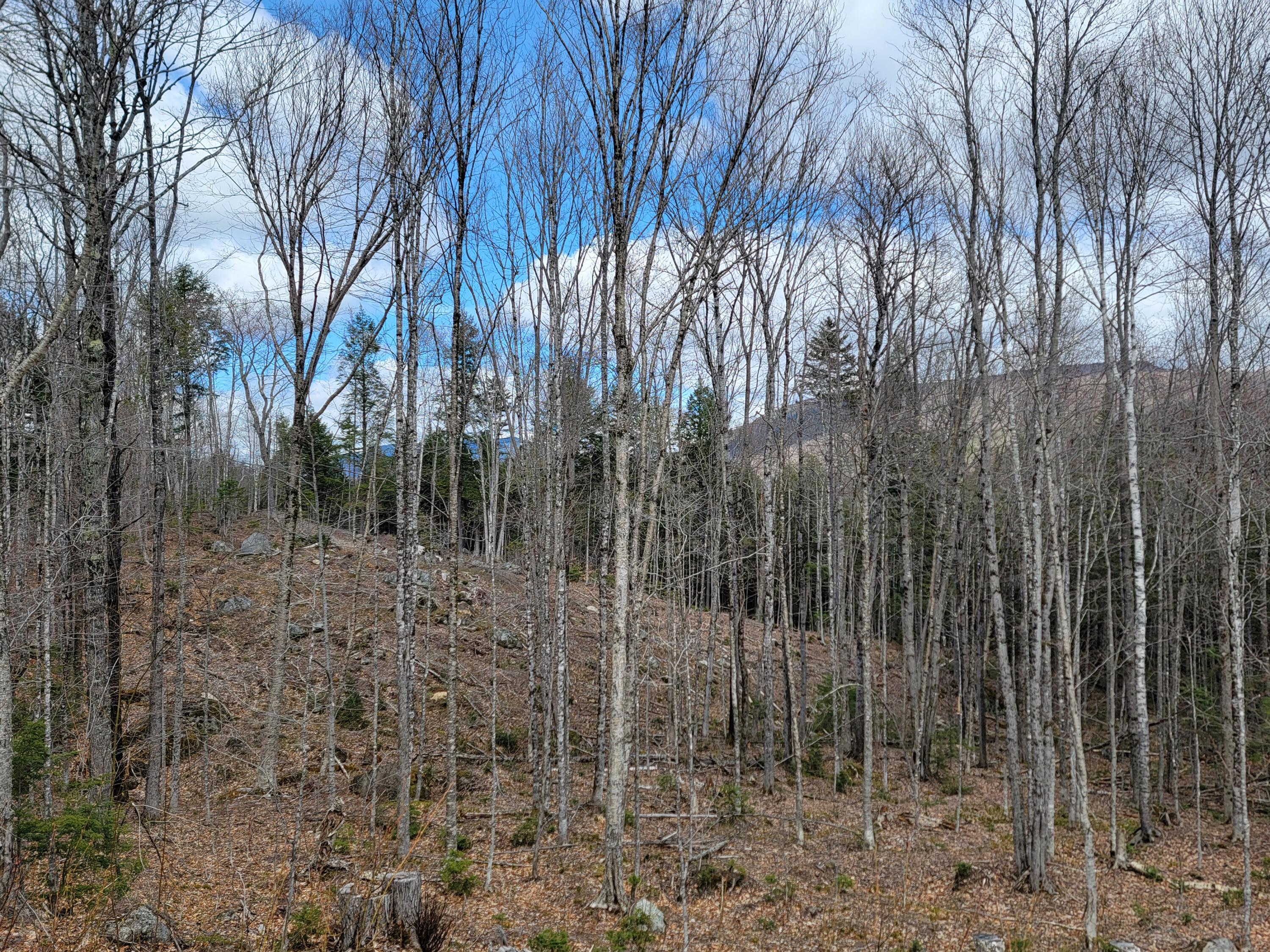 1007 Apres Way Carrabassett Valley ME 04947