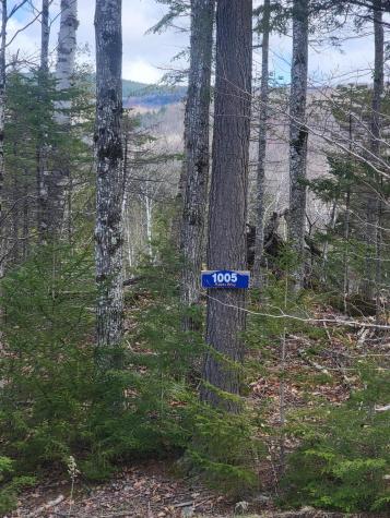 1007 Apres Way Carrabassett Valley ME 04947