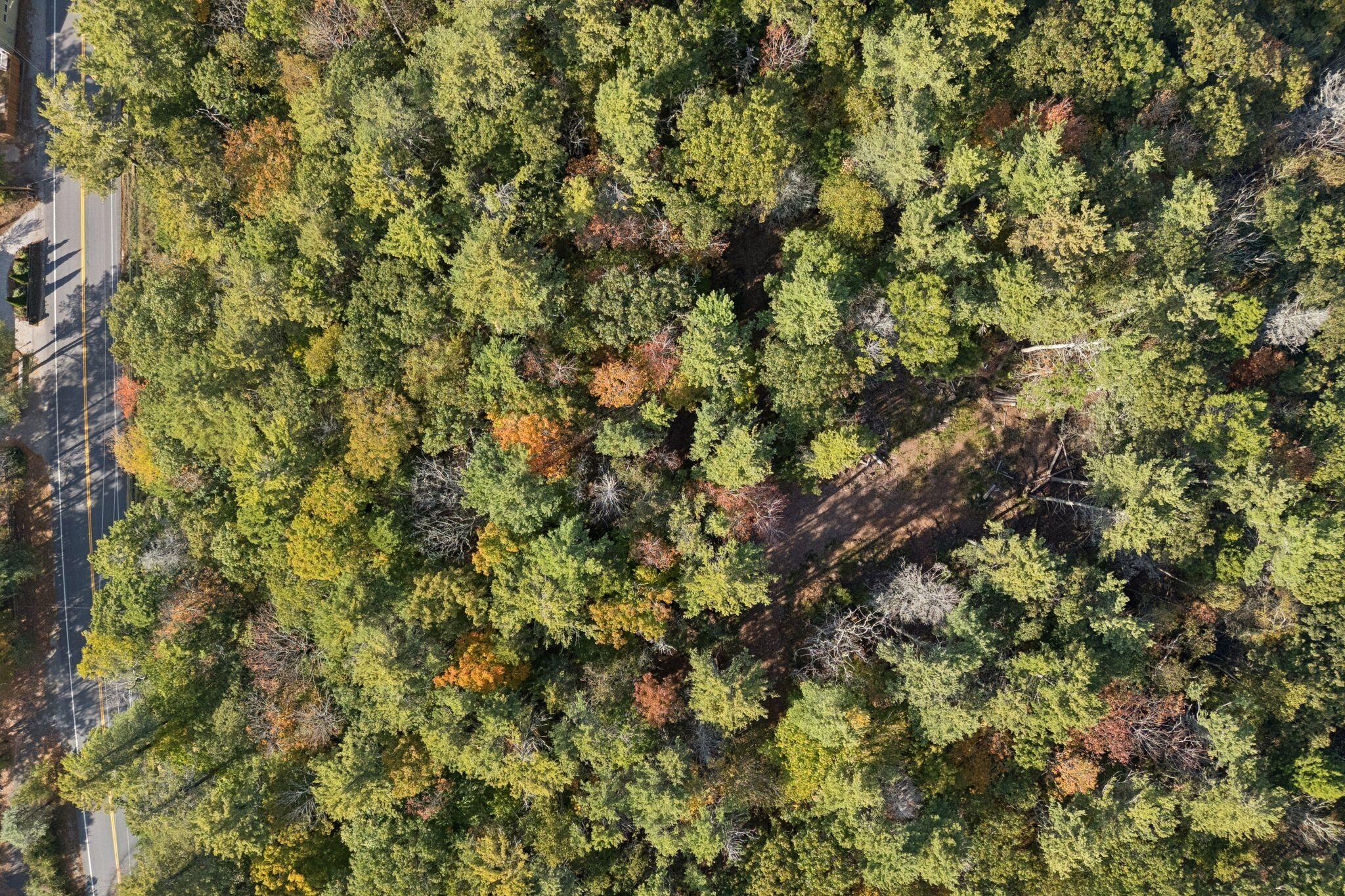 29 & 30 Nob Hill Avenue Brunswick ME 04011