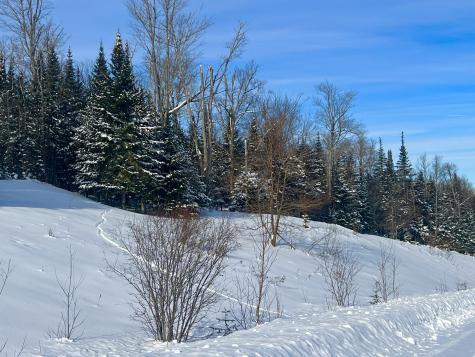 Lot 16 West Side Drive Rangeley ME 04970