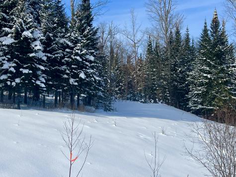 Lot 16 West Side Drive Rangeley ME 04970