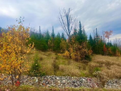 Lot 16 West Side Drive Rangeley ME 04970