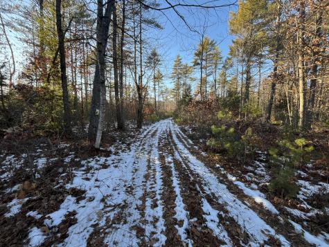 Tbd Saco Road Standish ME 04084