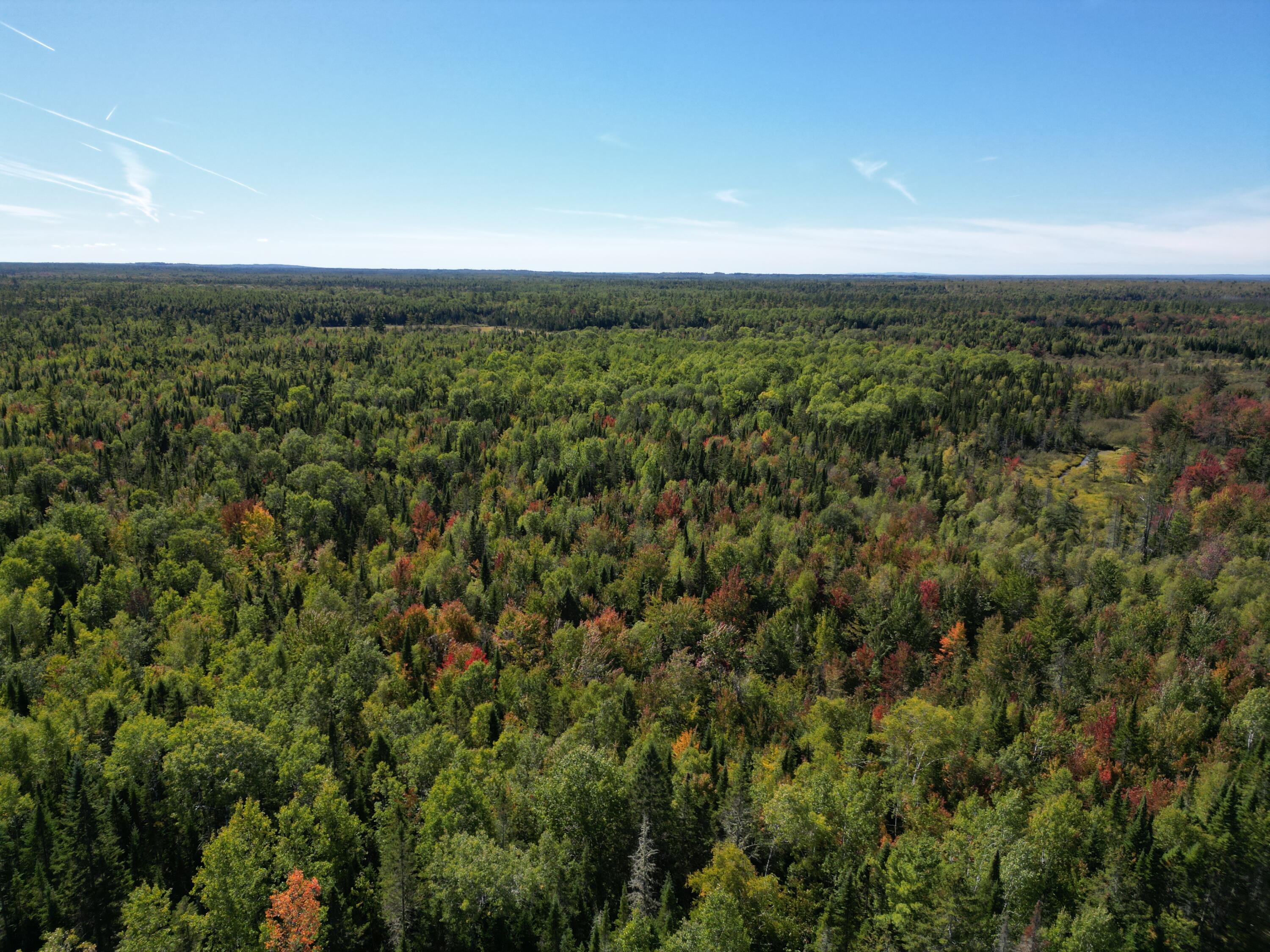 Lot 14 Whitetail Way Lowell ME 04493
