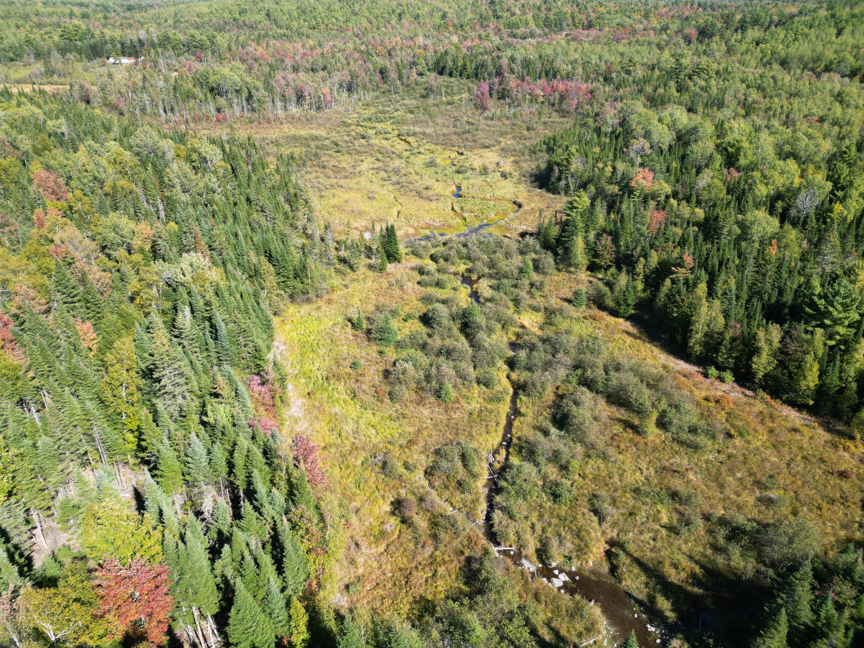 Lot 14 Whitetail Way Lowell ME 04493