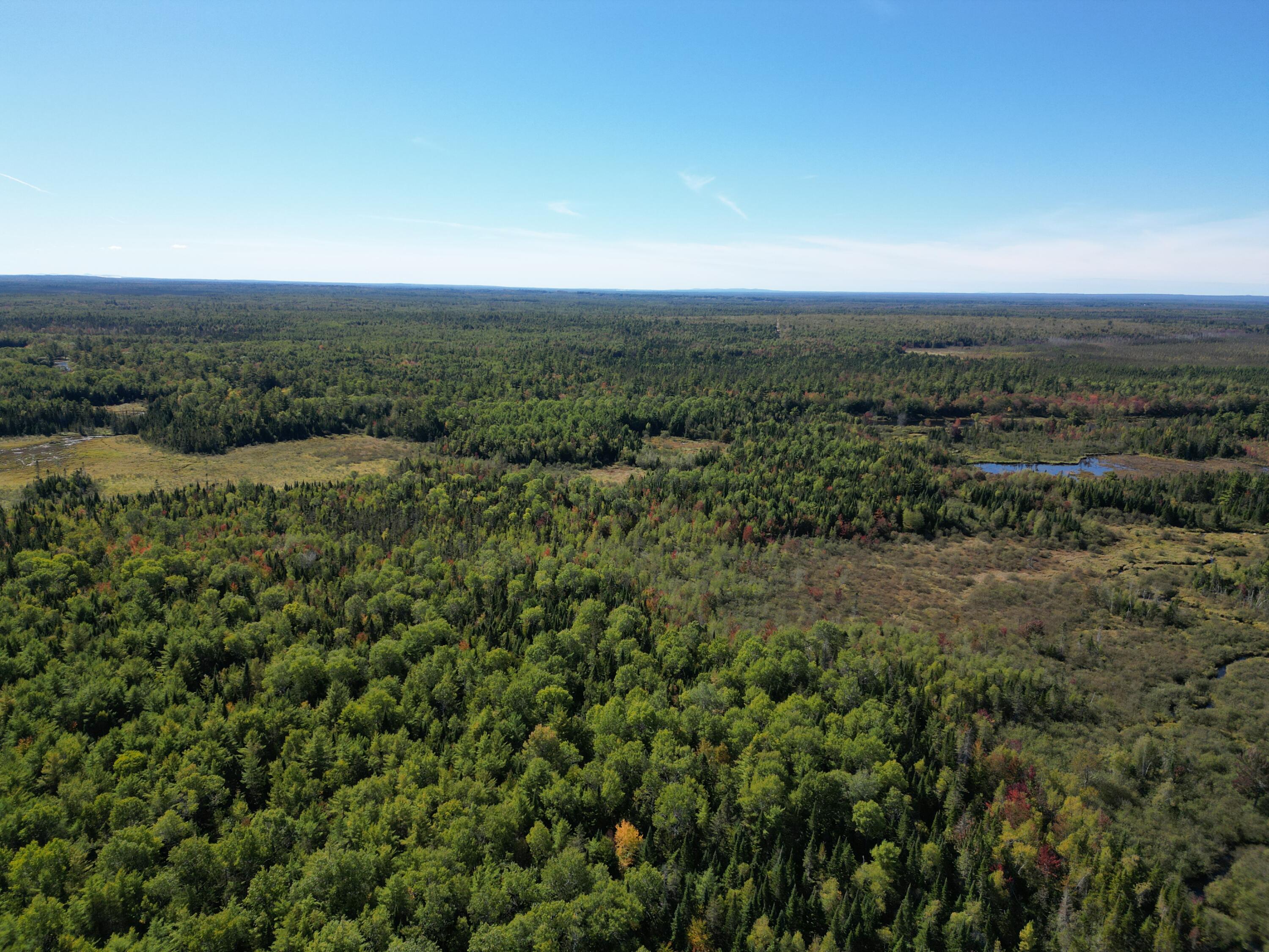 Lot 14 Whitetail Way Lowell ME 04493