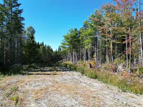 Lot 14 Whitetail Way Lowell ME 04493
