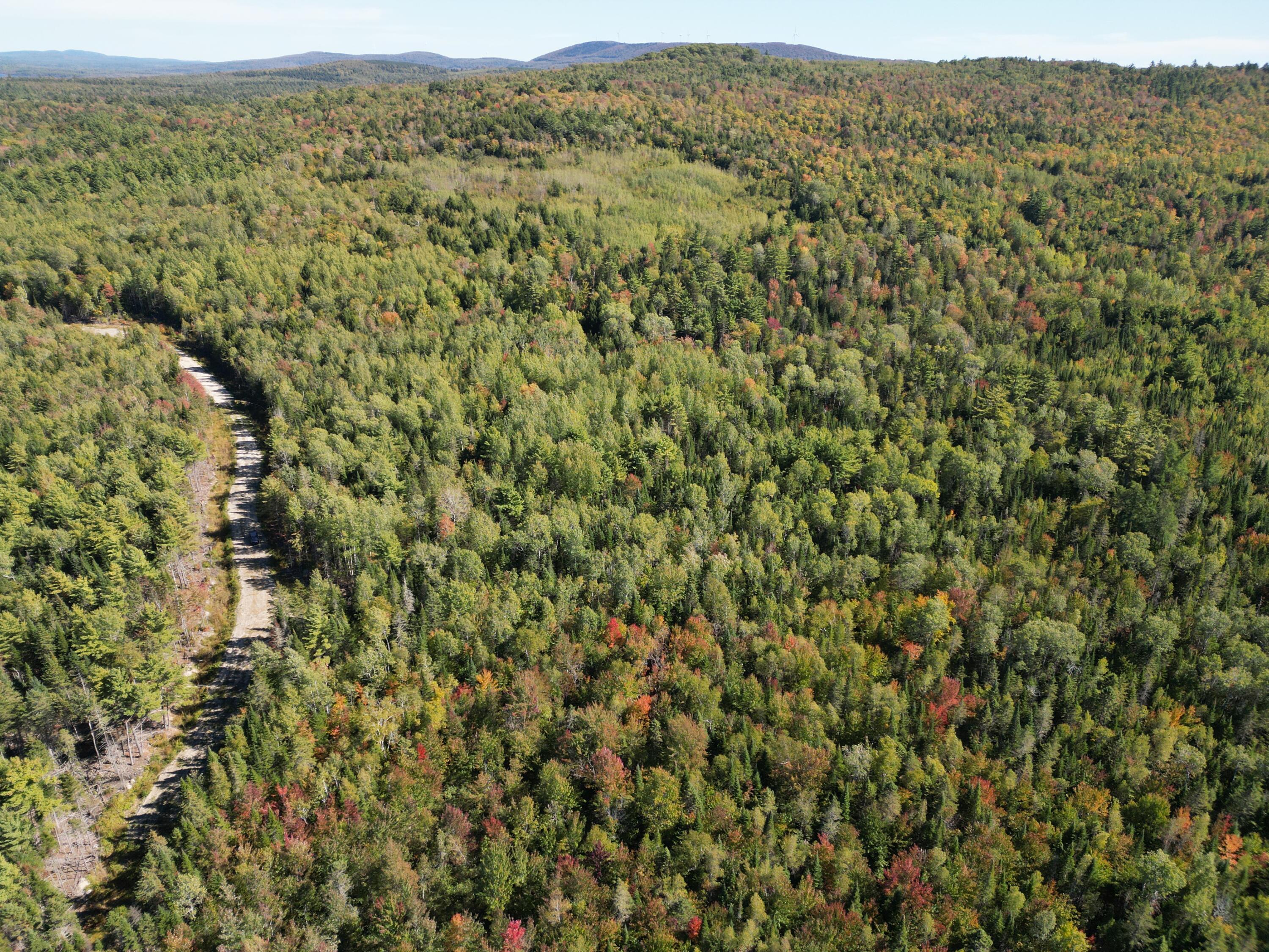 Lot 14 Whitetail Way Lowell ME 04493