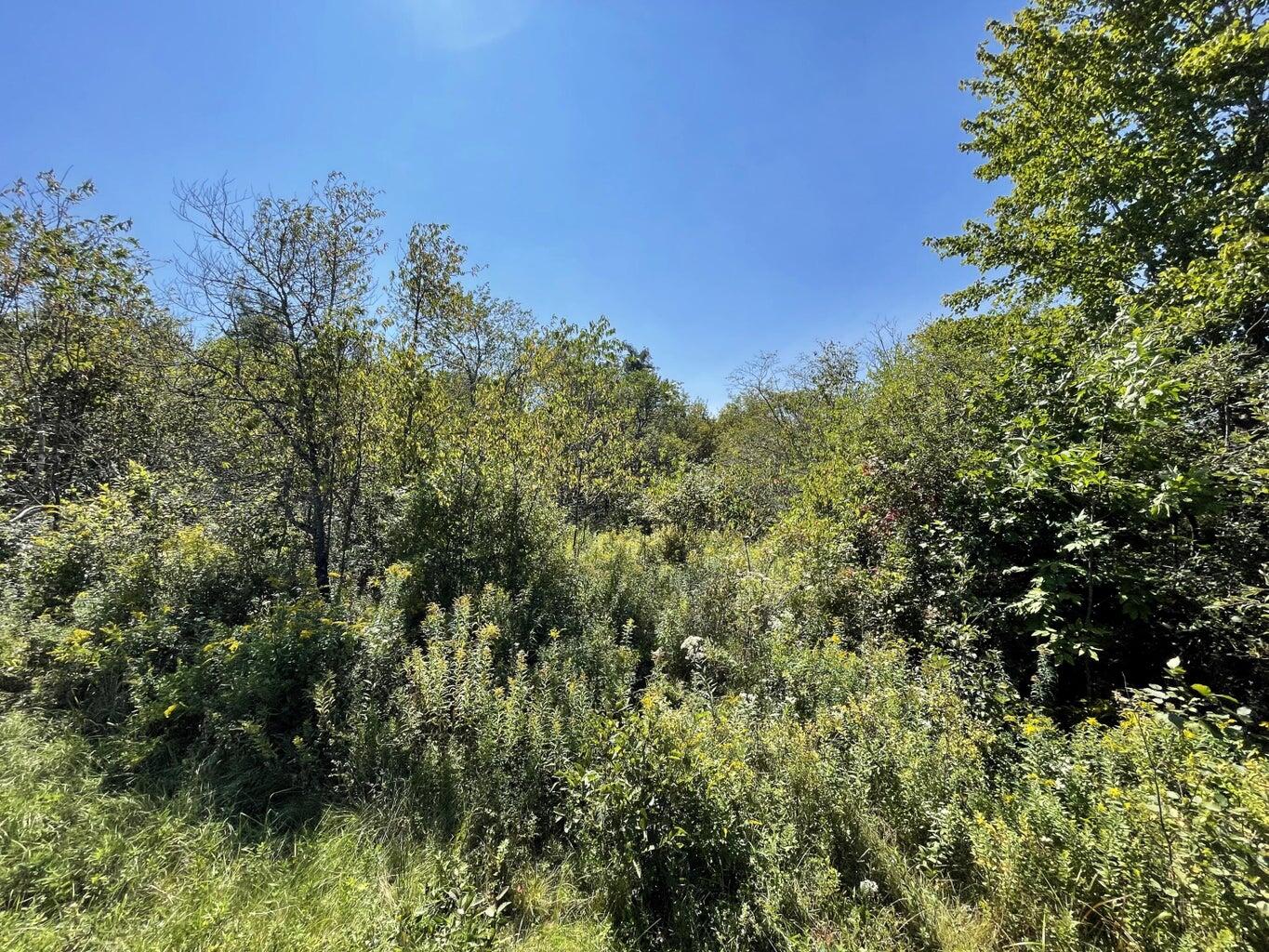 6-1 Hadley Lake Road East Machias ME 04630