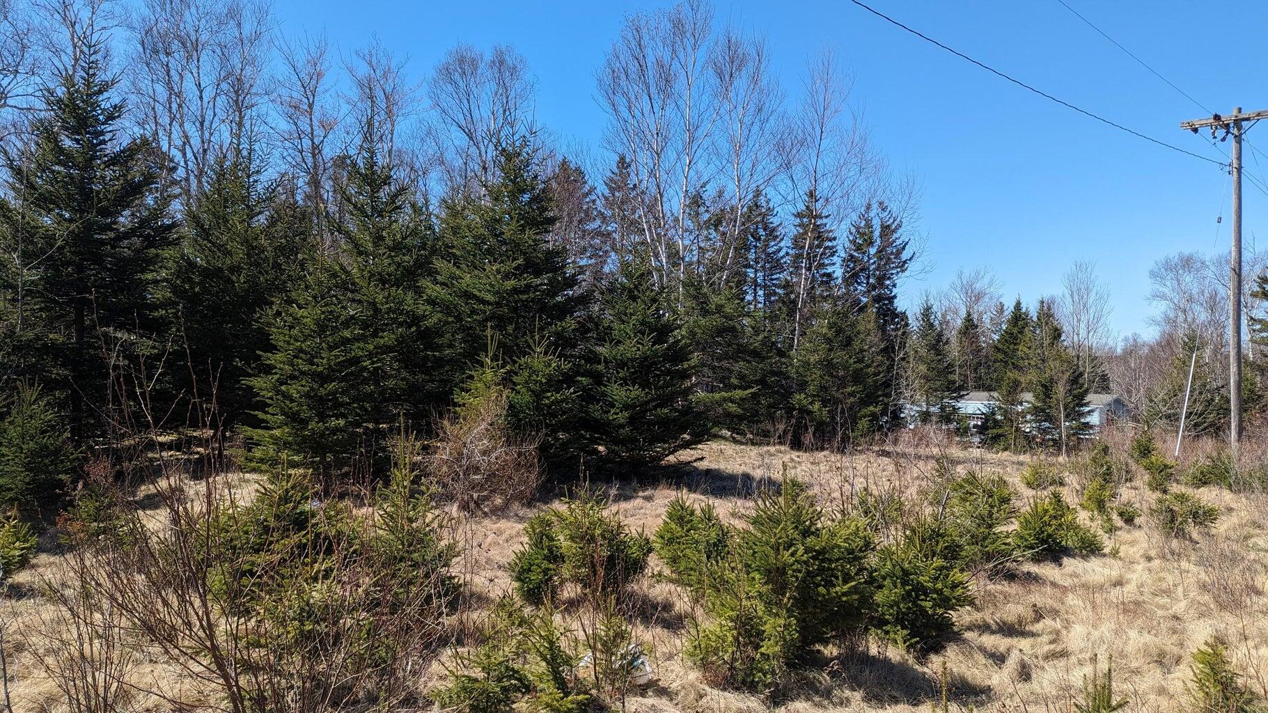 MD3 L7&11 Barton Street Eastport ME 04631