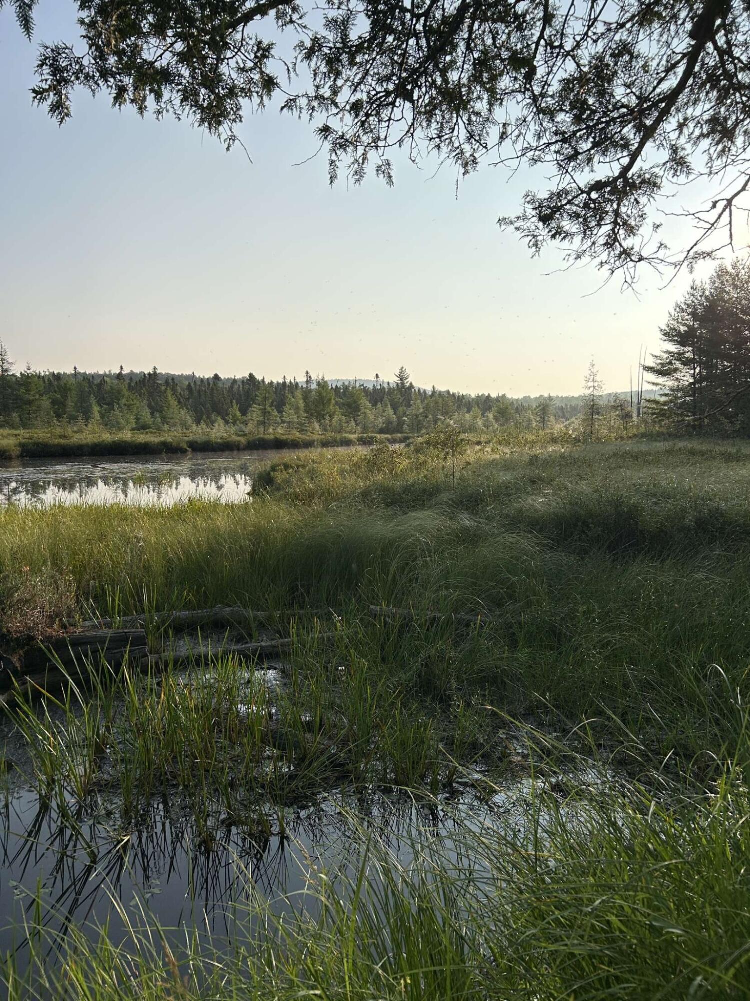 252 Blaine Avenue Guilford ME 04443