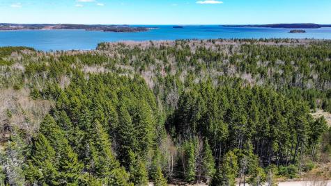 Lot 39 Sunrise Lane Roque Bluffs ME 04654