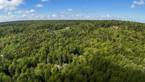 Lot 24 Means Cottage Road East Machias ME 04630