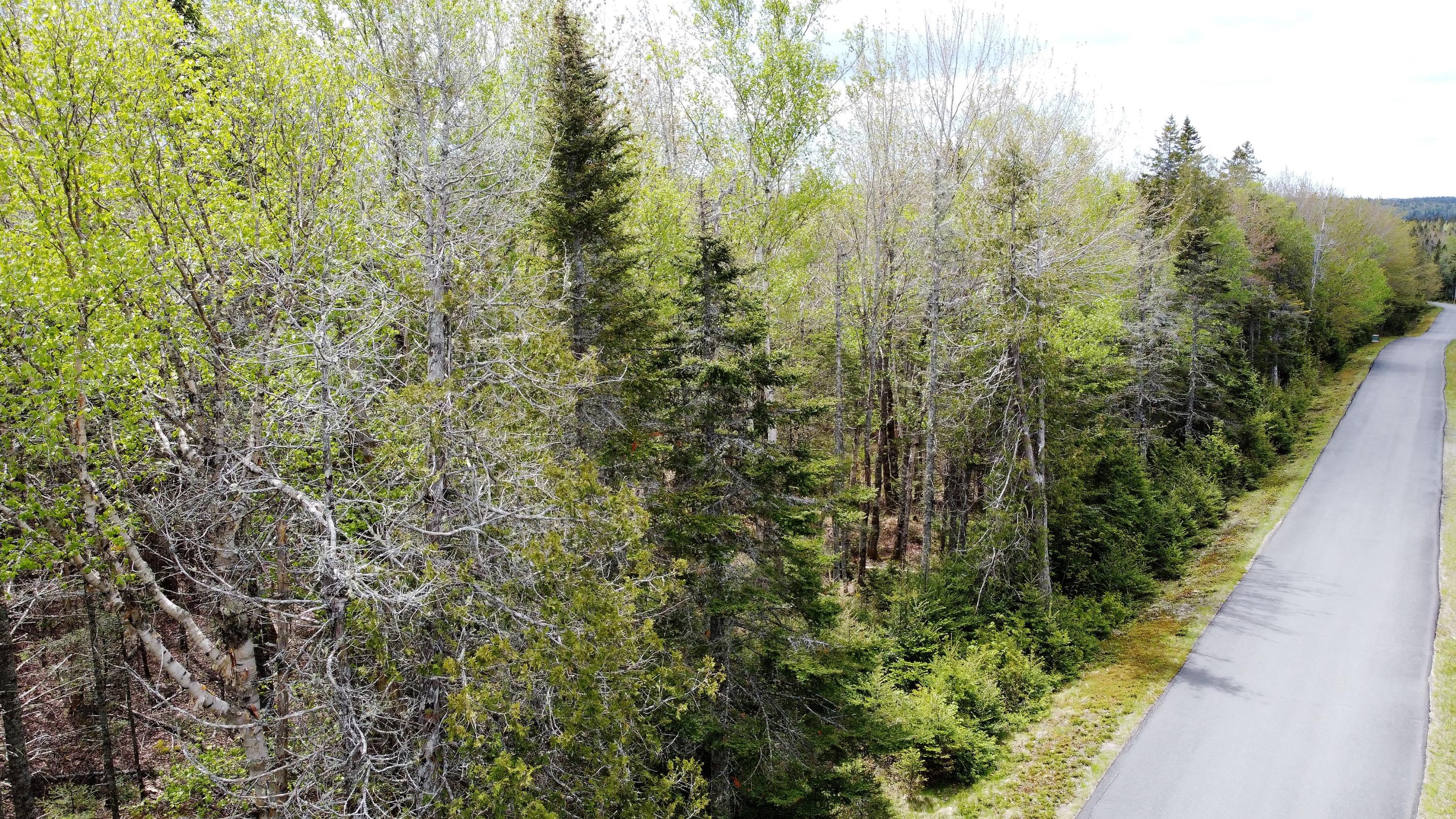 84 Yoho Head Road Machiasport, ME