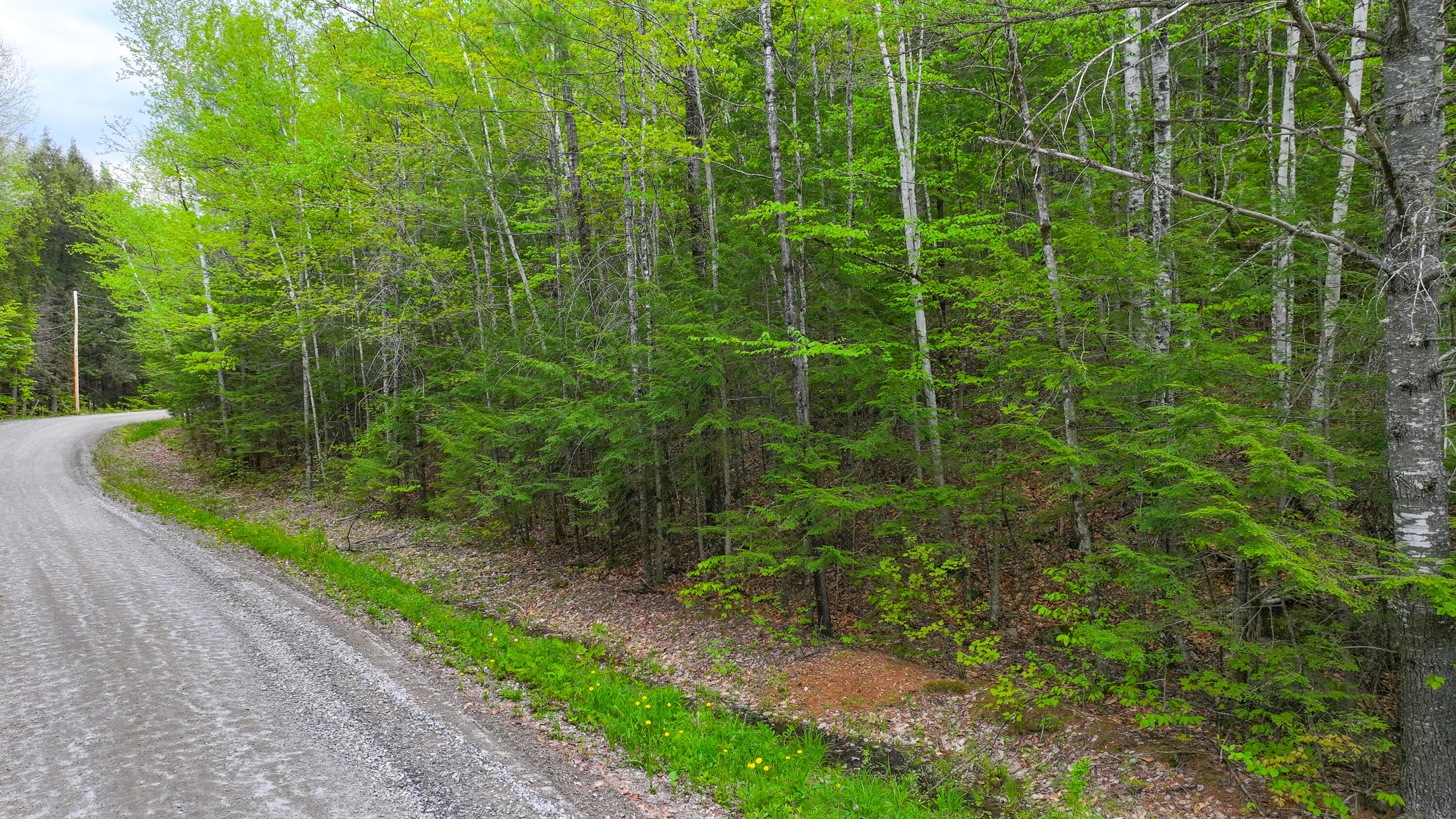 MU42 L50 Timber Bay Shores Road Lovell ME 04051