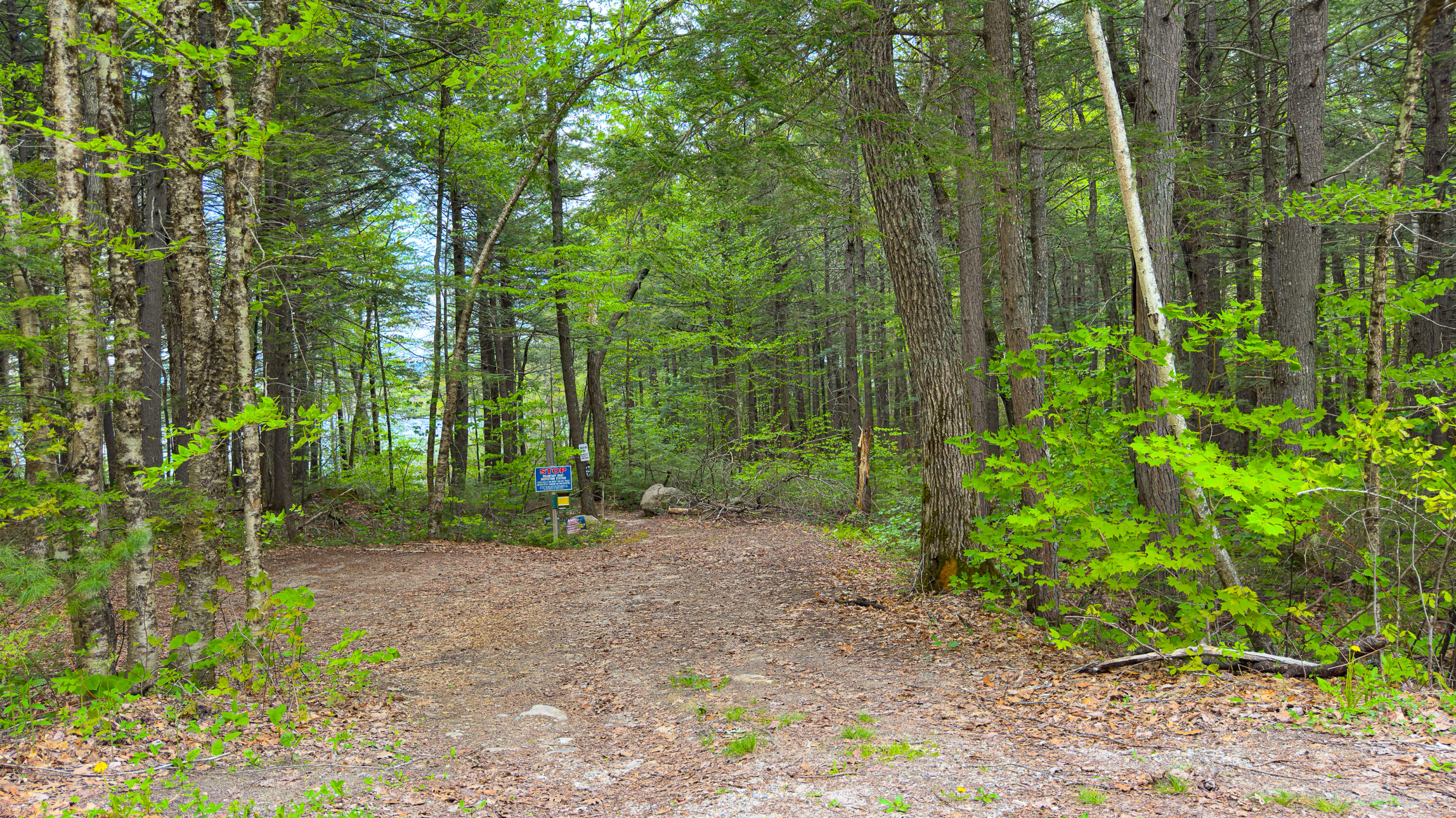 MU42 L50 Timber Bay Shores Road Lovell ME 04051