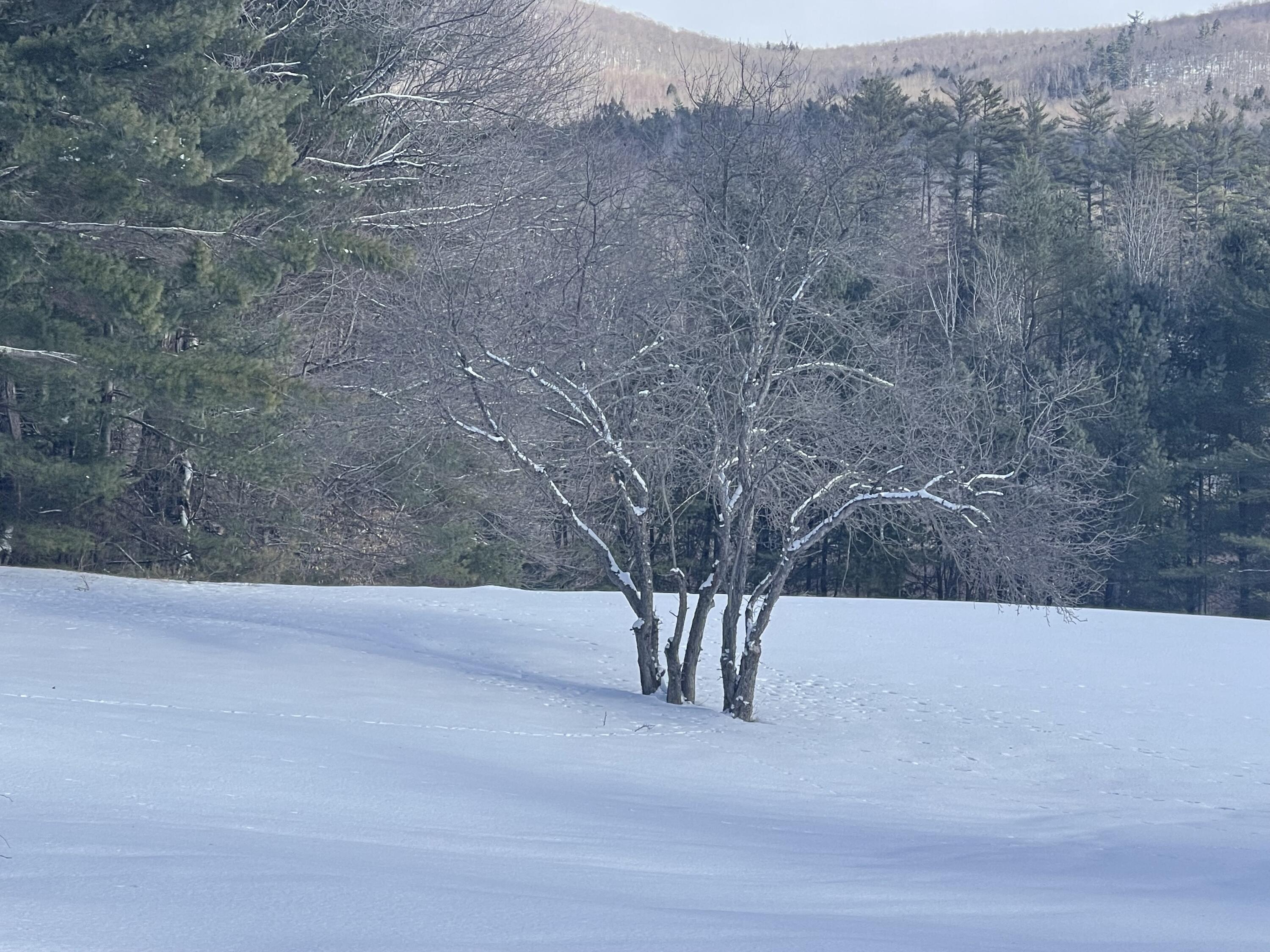 44 Gore Road Bethel ME 04219