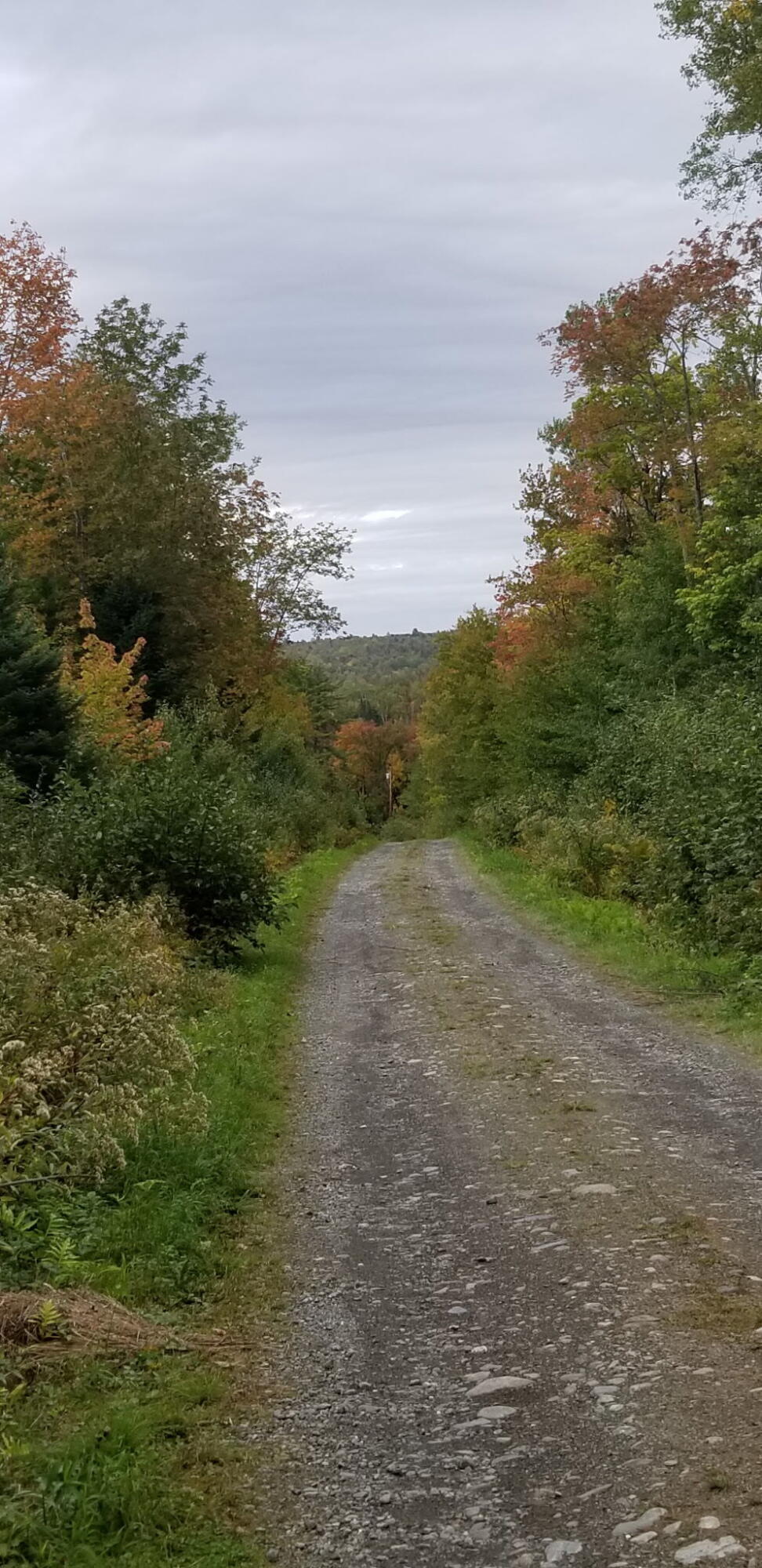 Lot 8 Winter Hill Lane Monson ME 04464