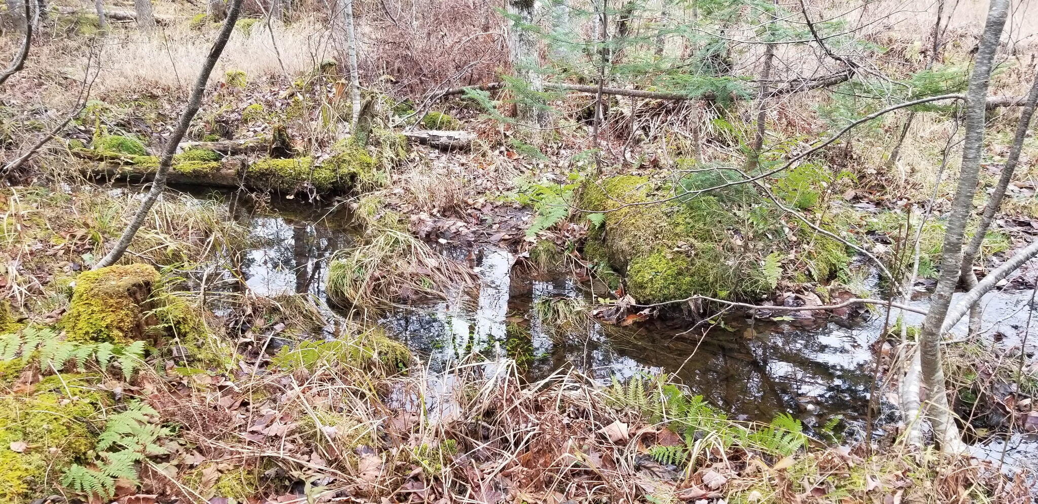 Lot 8 Winter Hill Lane Monson ME 04464