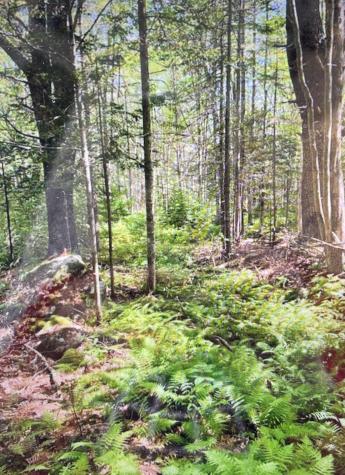 6 Stonewyck Lane Damariscotta ME 04543