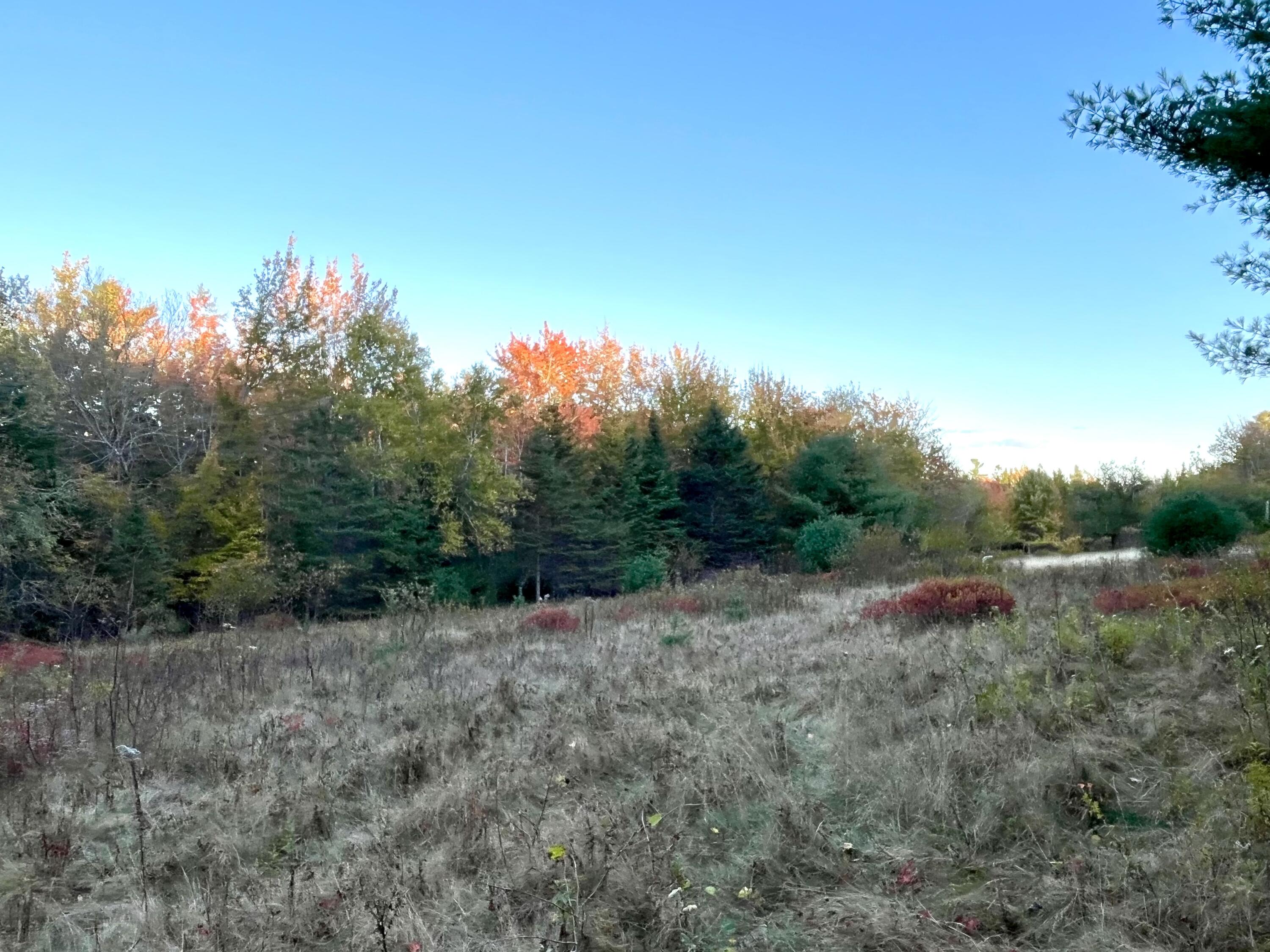 28-10A Morgan Bay Road Surry ME 04684