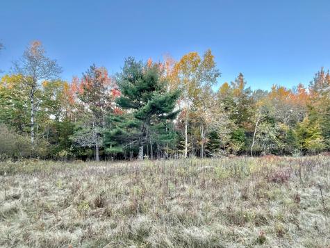 28-10A Morgan Bay Road Surry ME 04684