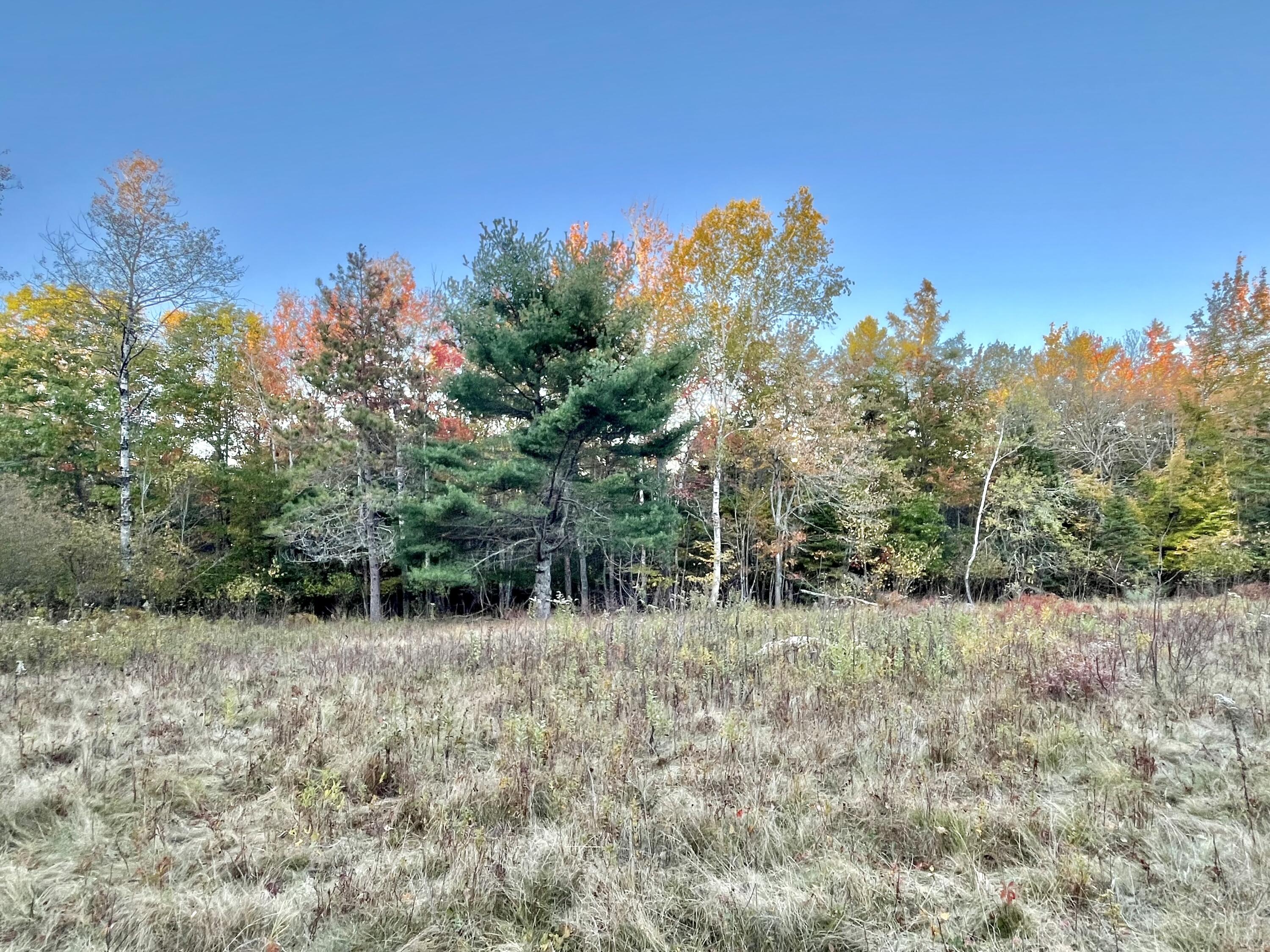 28-10A Morgan Bay Road Surry ME 04684