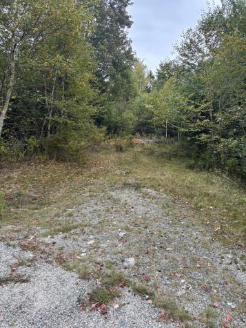 M20L2 East Side Road Addison ME 04606