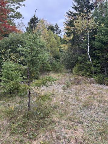 M20L2 East Side Road Addison ME 04606