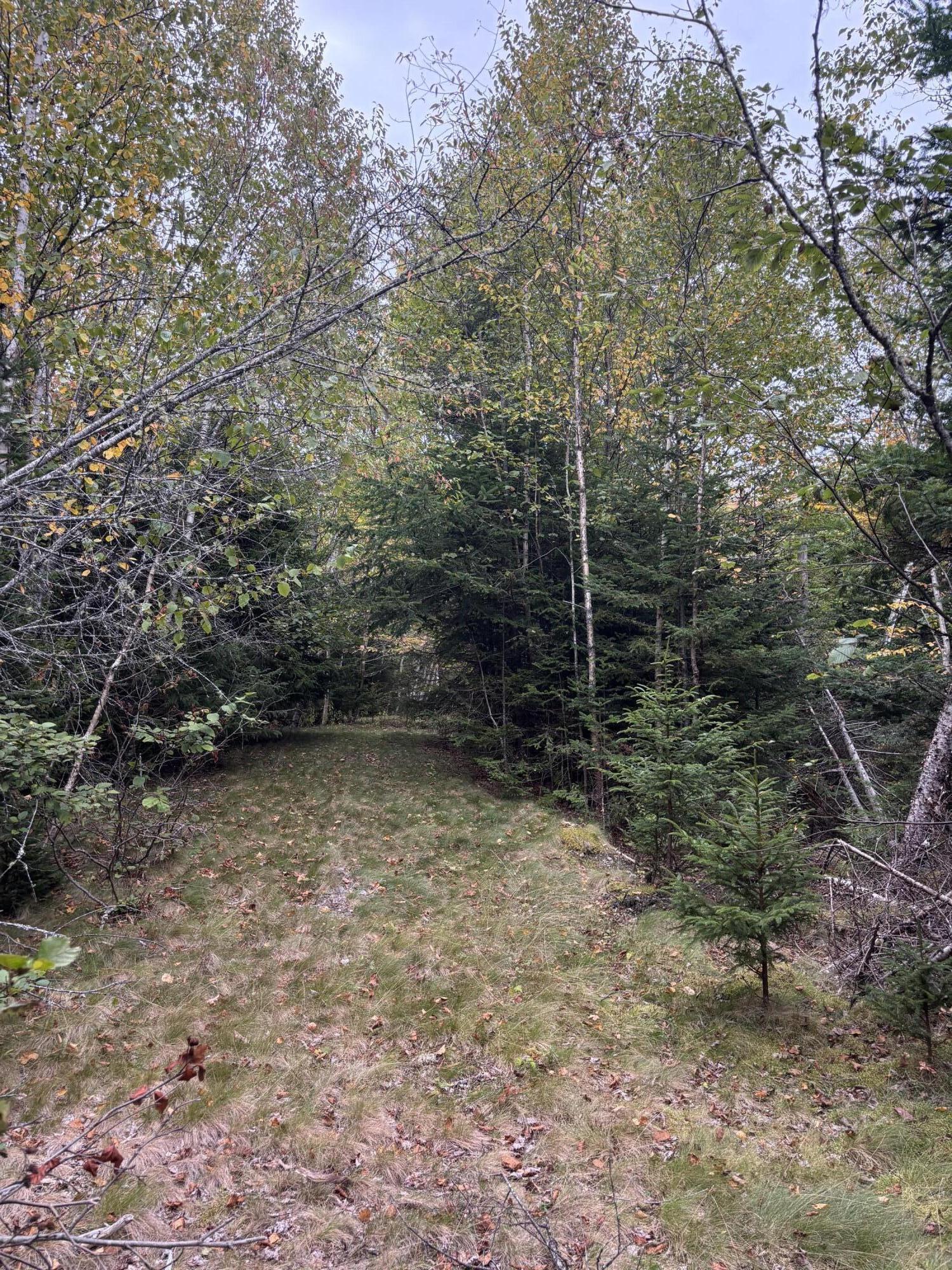 M20l2 East Side Road Addison ME 04606