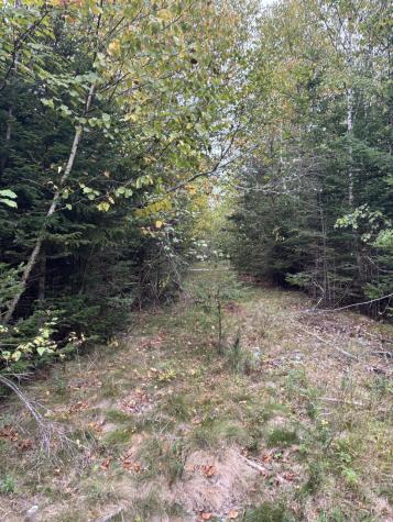 M20L2 East Side Road Addison ME 04606