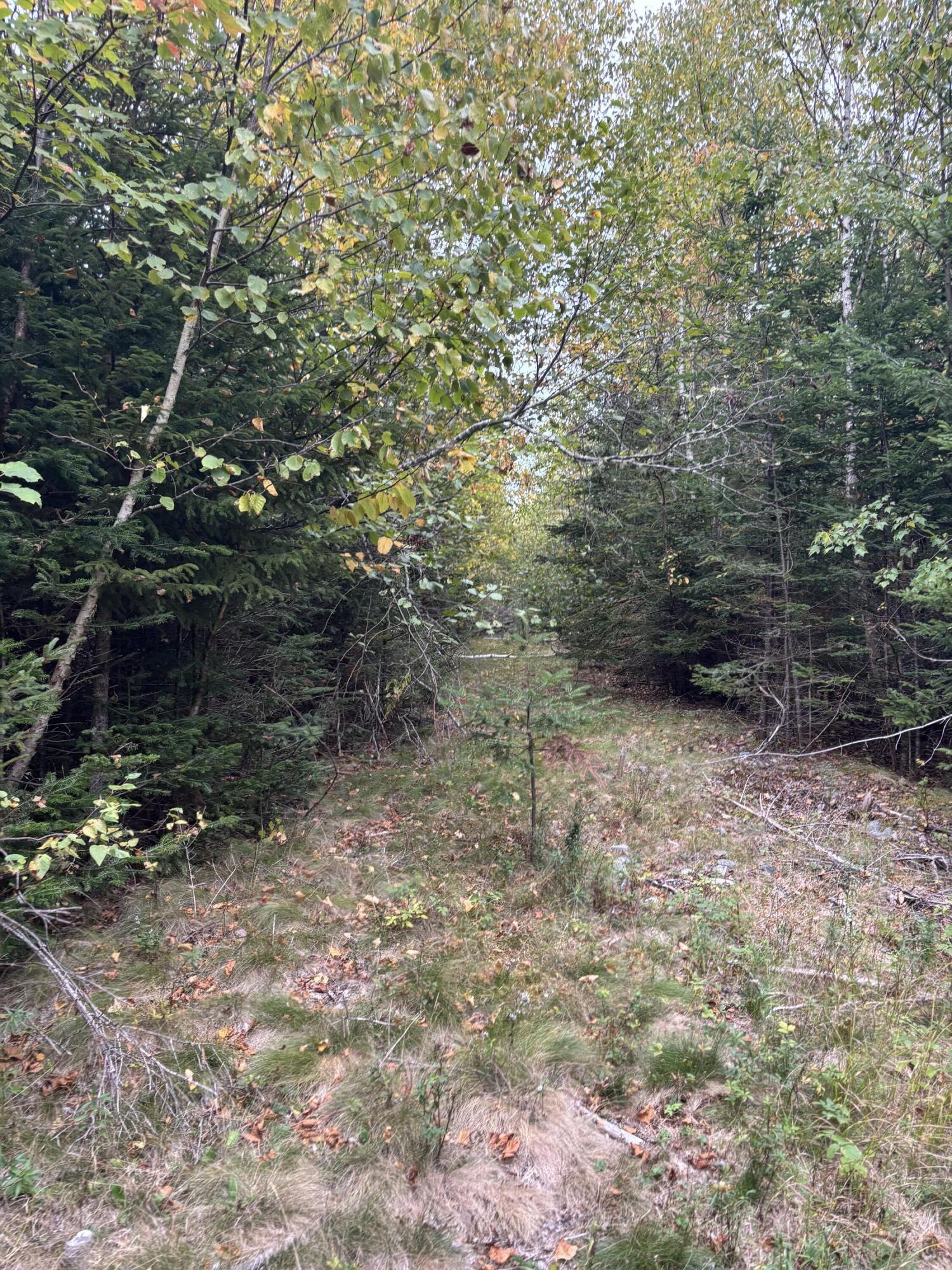 M20l2 East Side Road Addison ME 04606