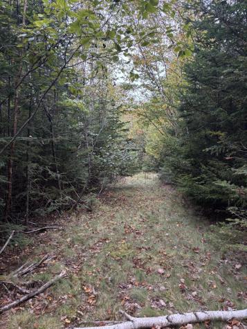 M20L2 East Side Road Addison ME 04606